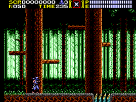 Ninja Gaiden Ninja Gaiden